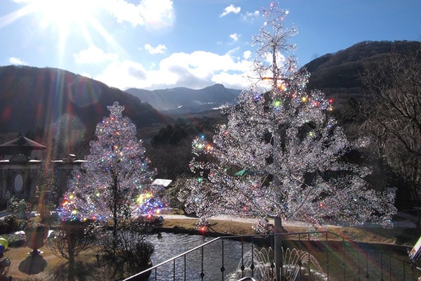 はなをりで過ごすクリスマス 箱根 芦ノ湖のホテル 旅館なら 箱根 芦ノ湖 はなをり 公式