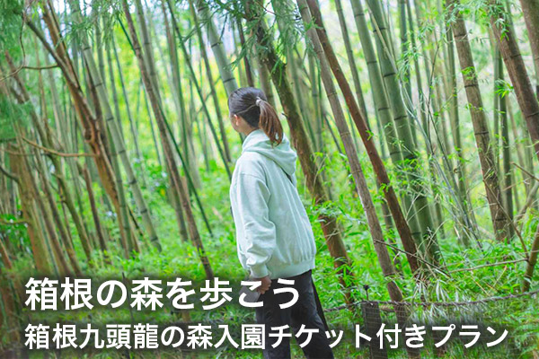 箱根の森を歩こう　箱根九頭龍の森入園チケット付きプラン